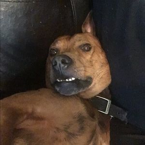 Meet your Posher, Jesse